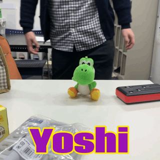 yoshi.gif