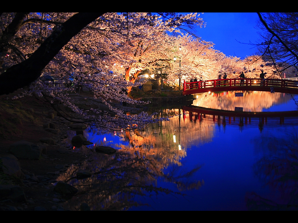 サンプルページ,40％